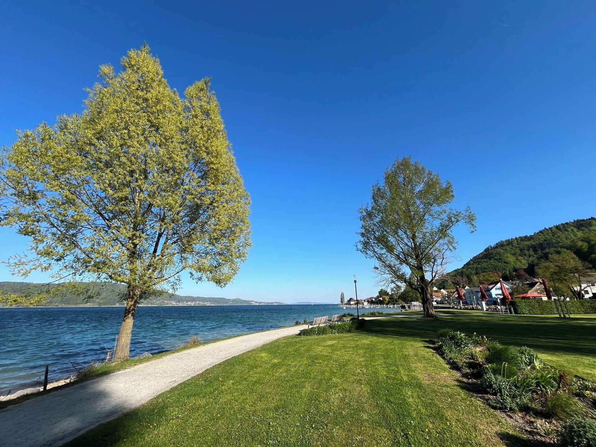 Un sendero junto al lago con césped, árboles y vistas a casas al otro lado del agua.
