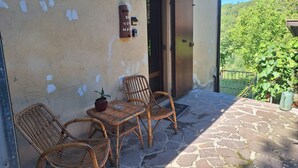 A balcony with wicker furniture, a potted plant, and a door with a mailbox.