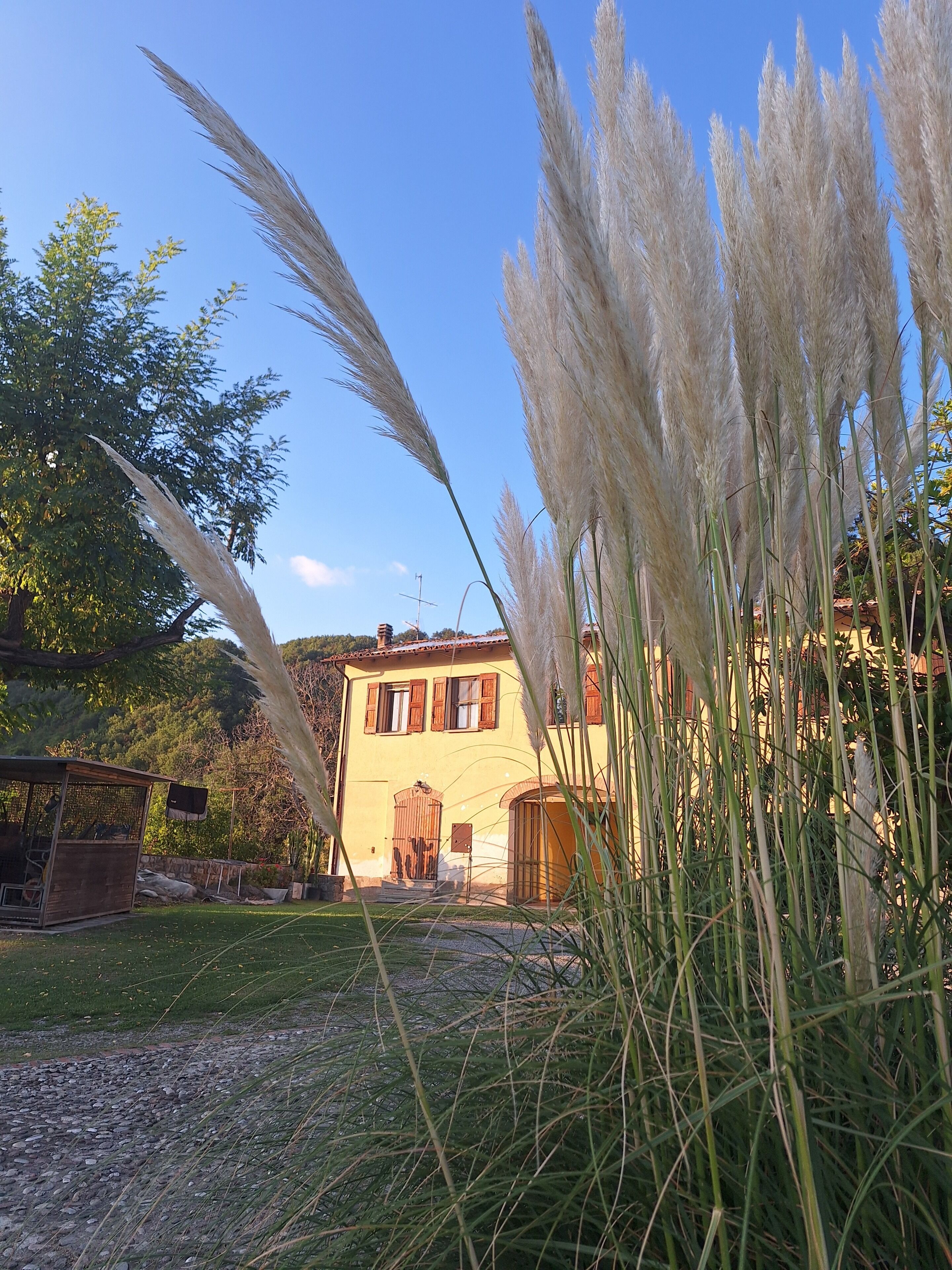 Parco della struttura
