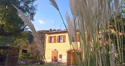 Delightful mini apartment with B&B formula in the hills of Marzabotto