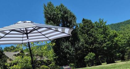 Enjoyable 2-bedroom cottage in Afton Virginia.
1.5 miles from the best winery!