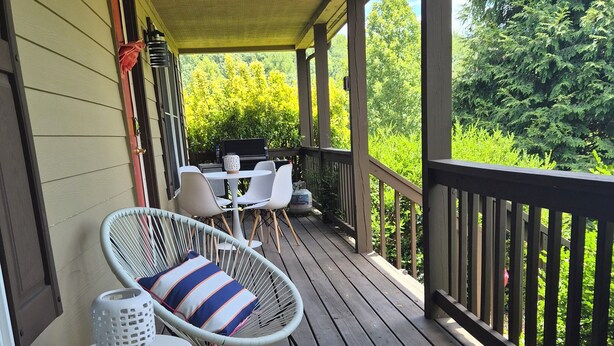 A covered porch with two wicker chairs, a small table, and a grill. - Enjoyable 2-bedroom cottage in Afton Virginia.
1.5 miles from the best winery! (Afton)