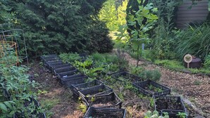 A garden with raised beds and various plants. - Enjoyable 2-bedroom cottage in Afton Virginia.
1.5 miles from the best winery! (Afton)