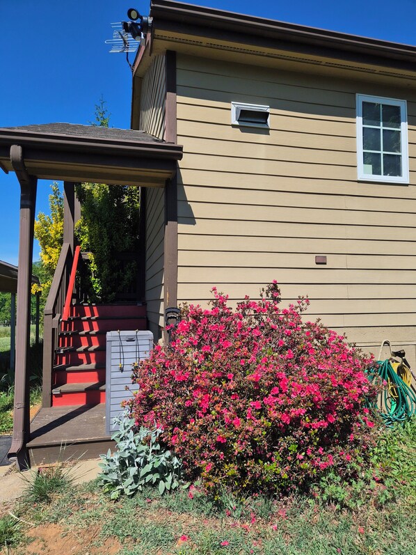A house with a porch, a small window, and a bush with pink flowers.