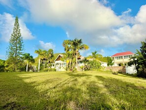 A tropical landscape with a large tree, a house with a red roof, and a white building with a balcony. - Large estate Villa 6-bed / 6 bath, perfect for large groups & 2 arces of graden (Charlestown)
