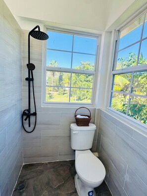 Shower, hair dryer, towels, soap