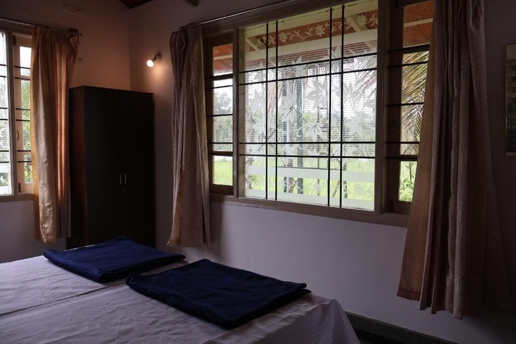 Deluxe Double or Twin Room, Balcony, River View | Soundproofing, WiFi (free)