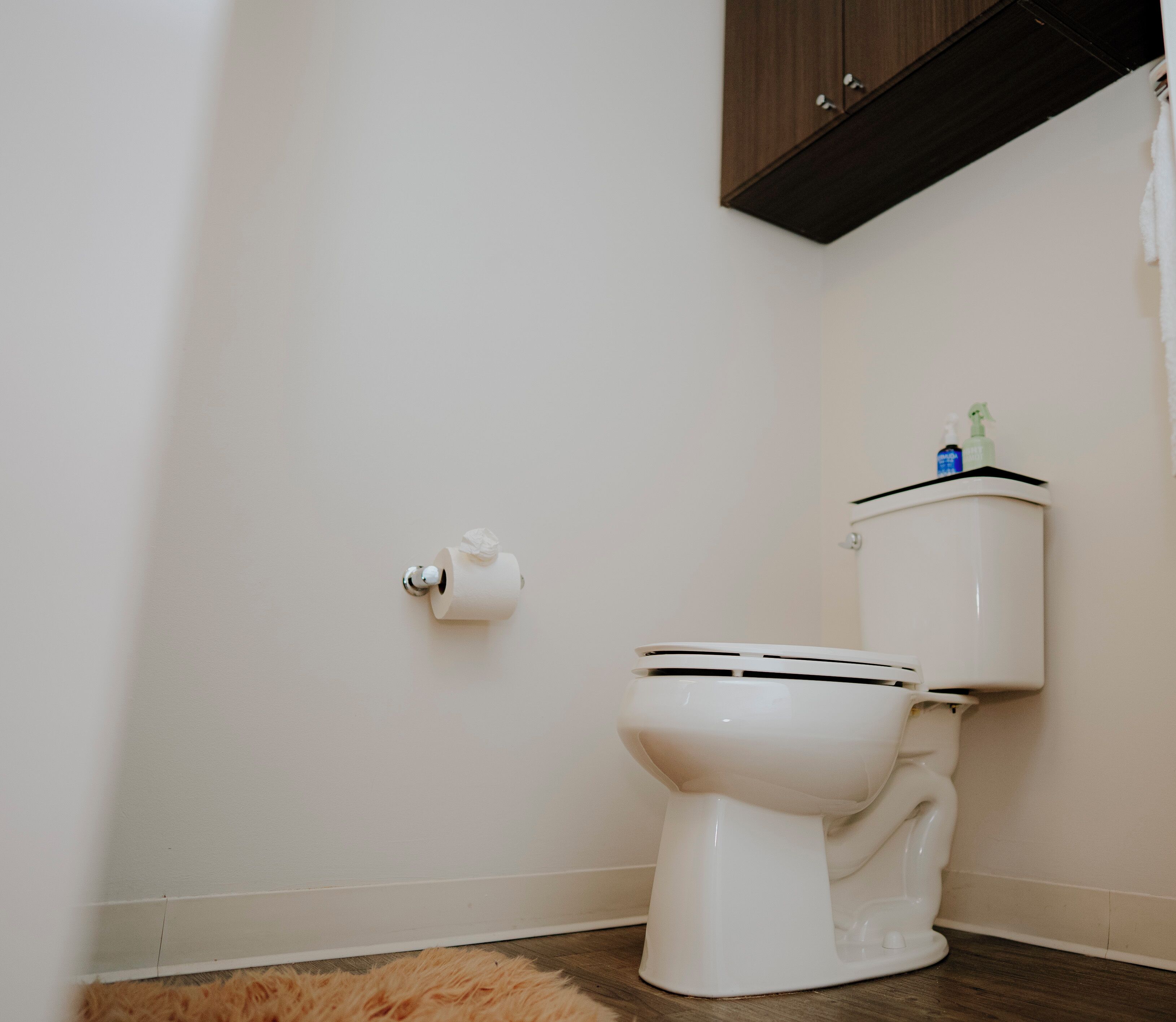 A white toilet with a tank, a roll of toilet paper on the wall, and a brown shag rug on the floor.