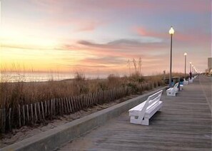 Miscellaneous - ADORABLE AND SPACIOUS 2 BR, 2 BA CONDO ... ON REHOBOTH AVE - 18 THE ARK (Rehoboth Beach)