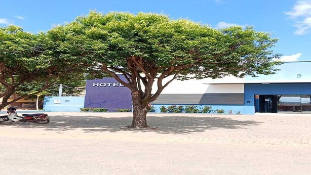 A tree in front of a building with a sign that reads 'HOTEL'. - Hotel Canedo (Corumbaíba)