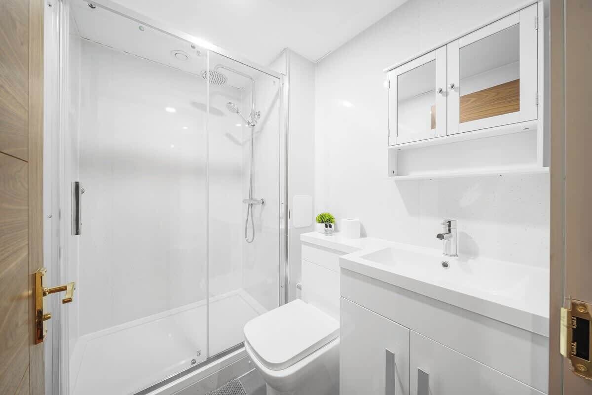 Ducha, secador de pelo y champú
