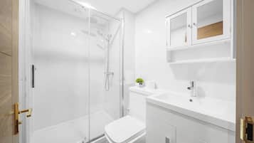 Ducha, secador de pelo y champú