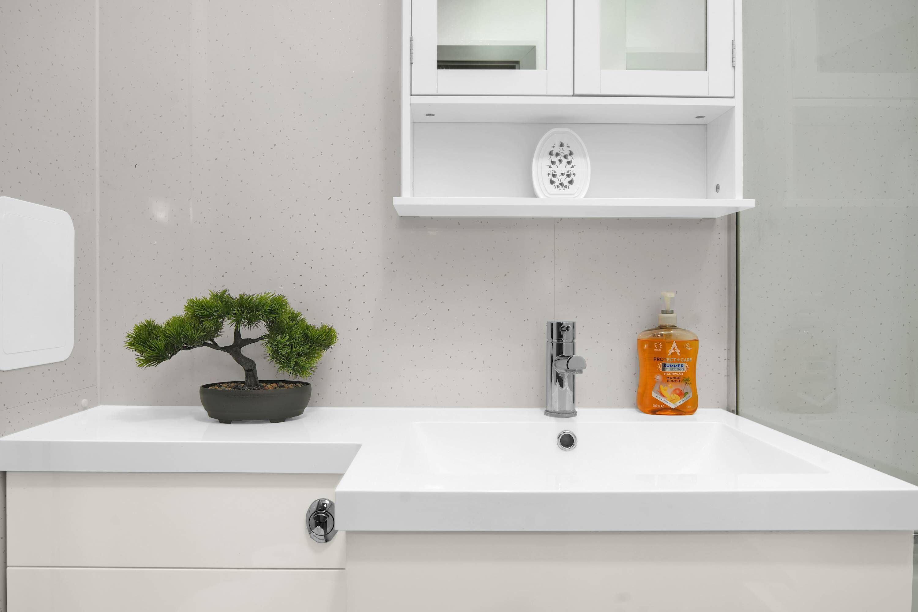 Shower, hair dryer, towels, shampoo