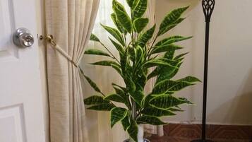 Una habitación con una cama, una planta en maceta, una lámpara y una cortina.
