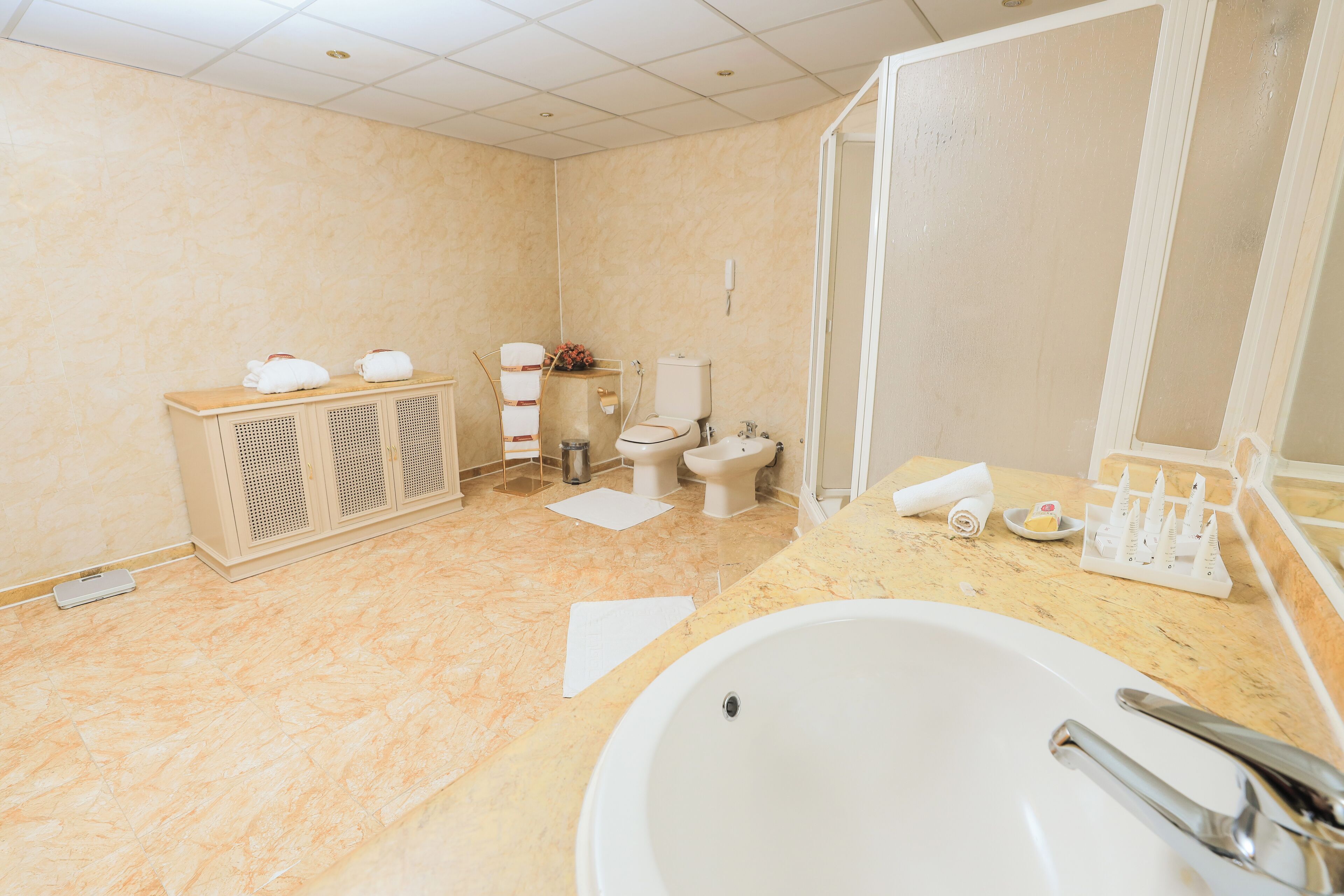 Ein Badezimmer mit einer großen Badewanne, zwei Toiletten, einem Waschtisch inklusive Spiegel und einem Handtuchhalter.