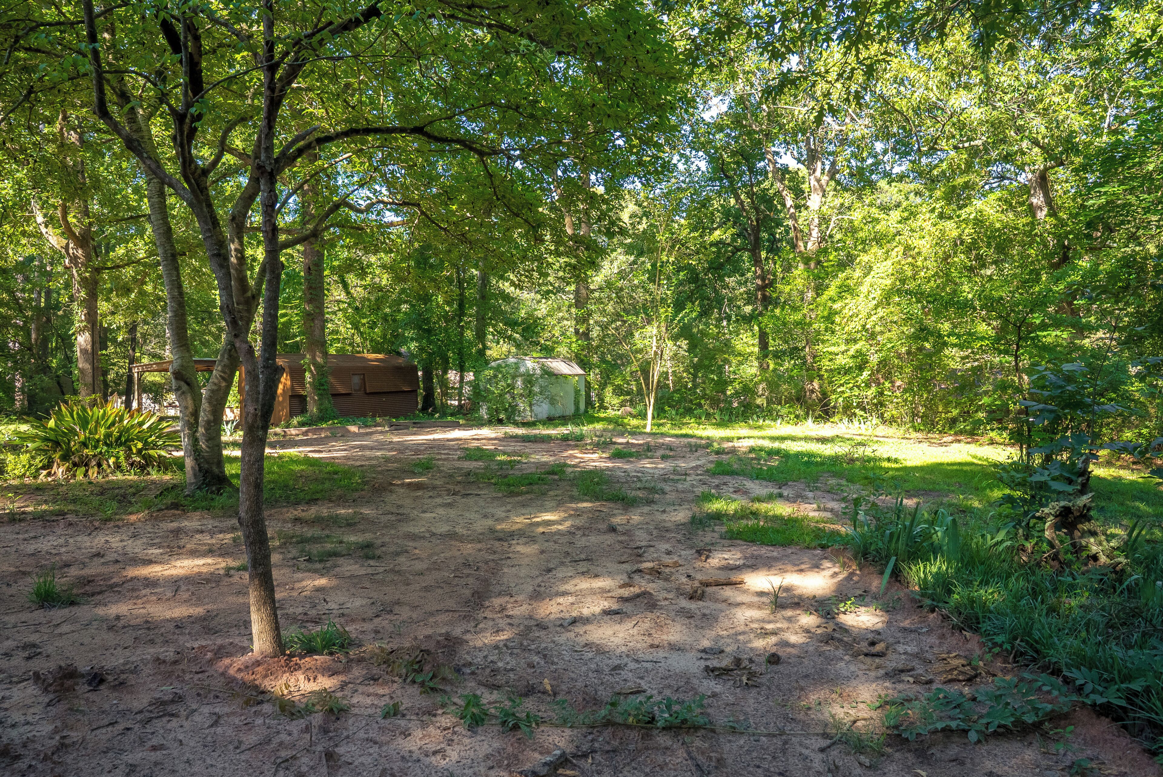 A dirt path leading through a wooded area with a small building in the distance.