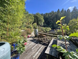 Terras