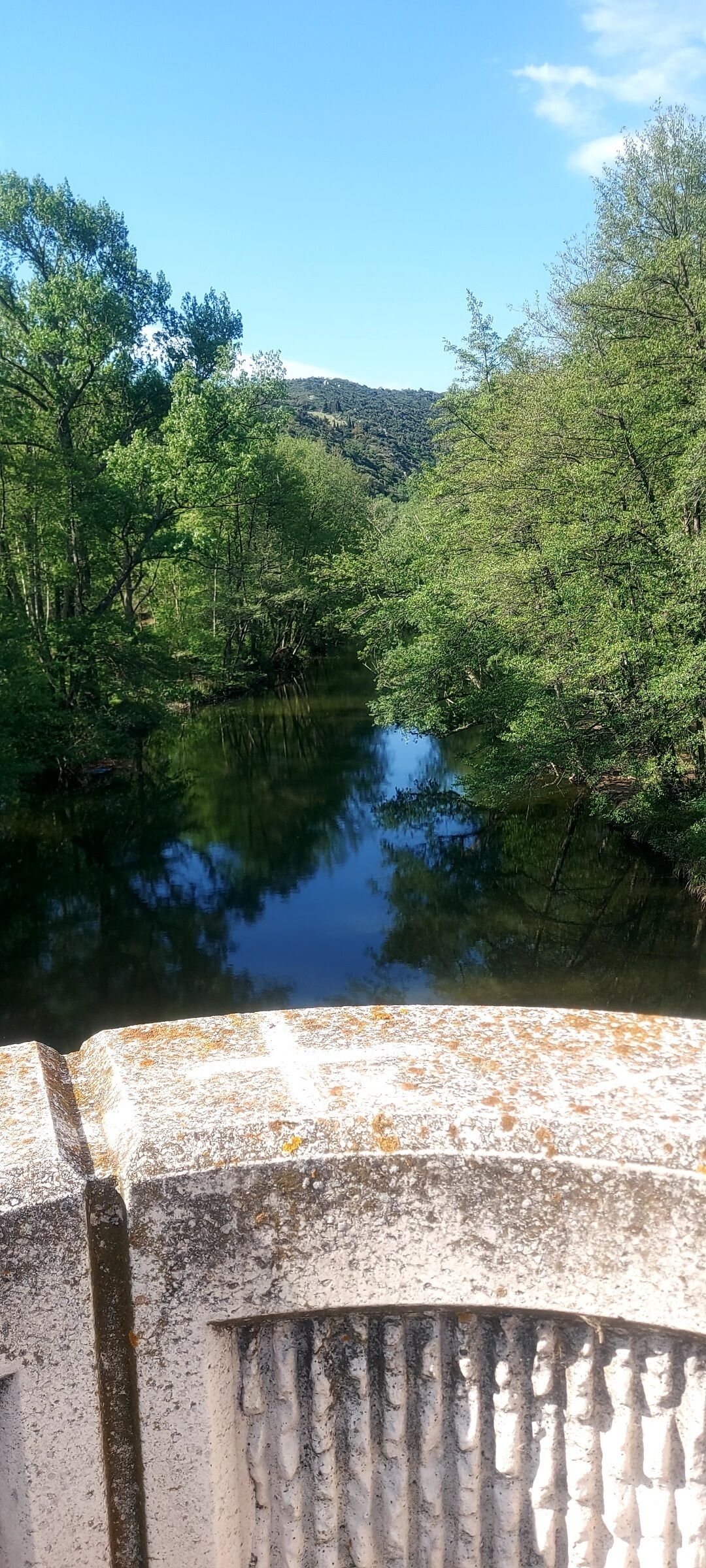 Un río con abundante vegetación a ambos lados, cielo despejado y una estructura de piedra en primer plano.