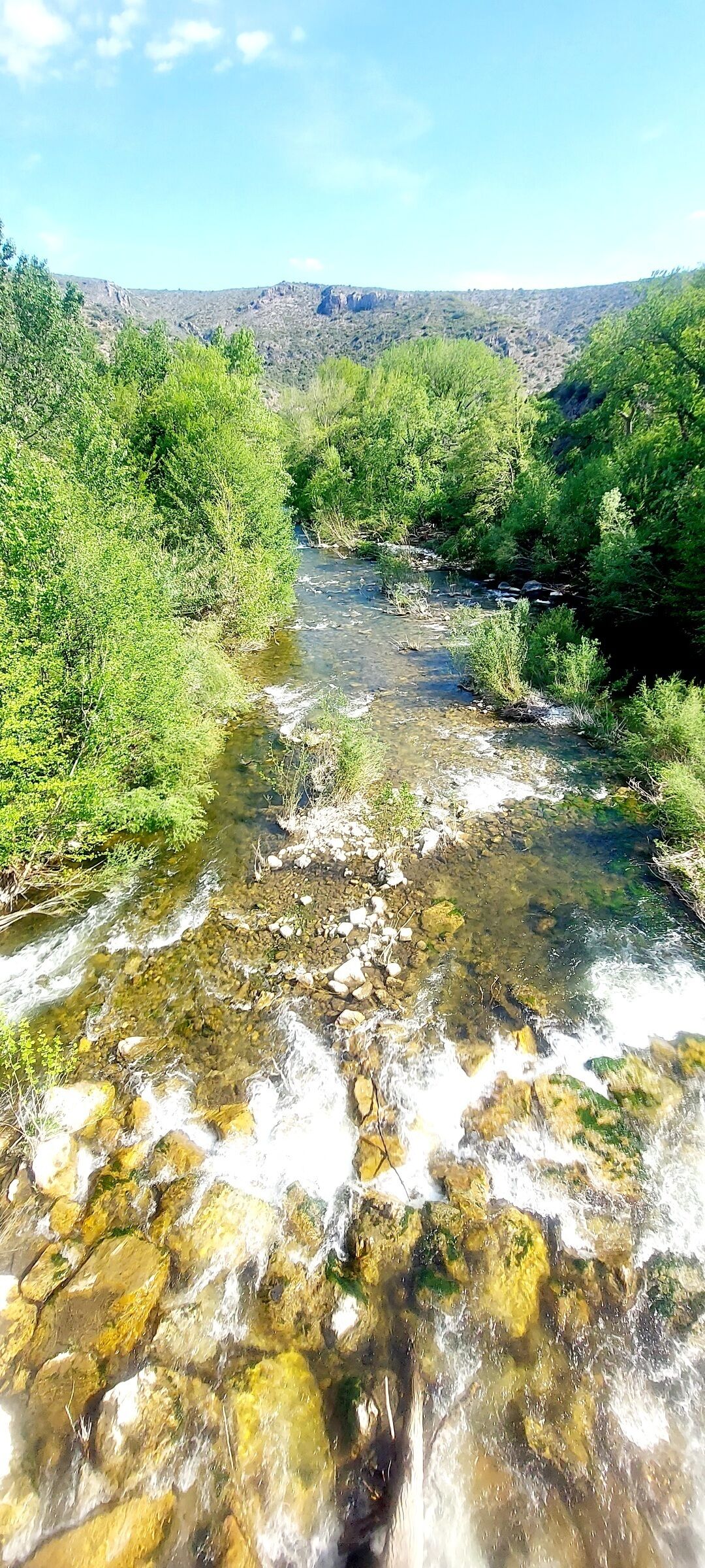 En klar bäck som rinner genom ett skogsområde med stenigt landskap.