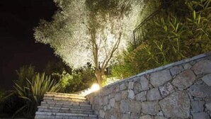 A stone staircase leading up to a tree with lights, surrounded by greenery. - Villa Bali sur la Côte d'Azur - Oasis among olive trees (Valbonne)
