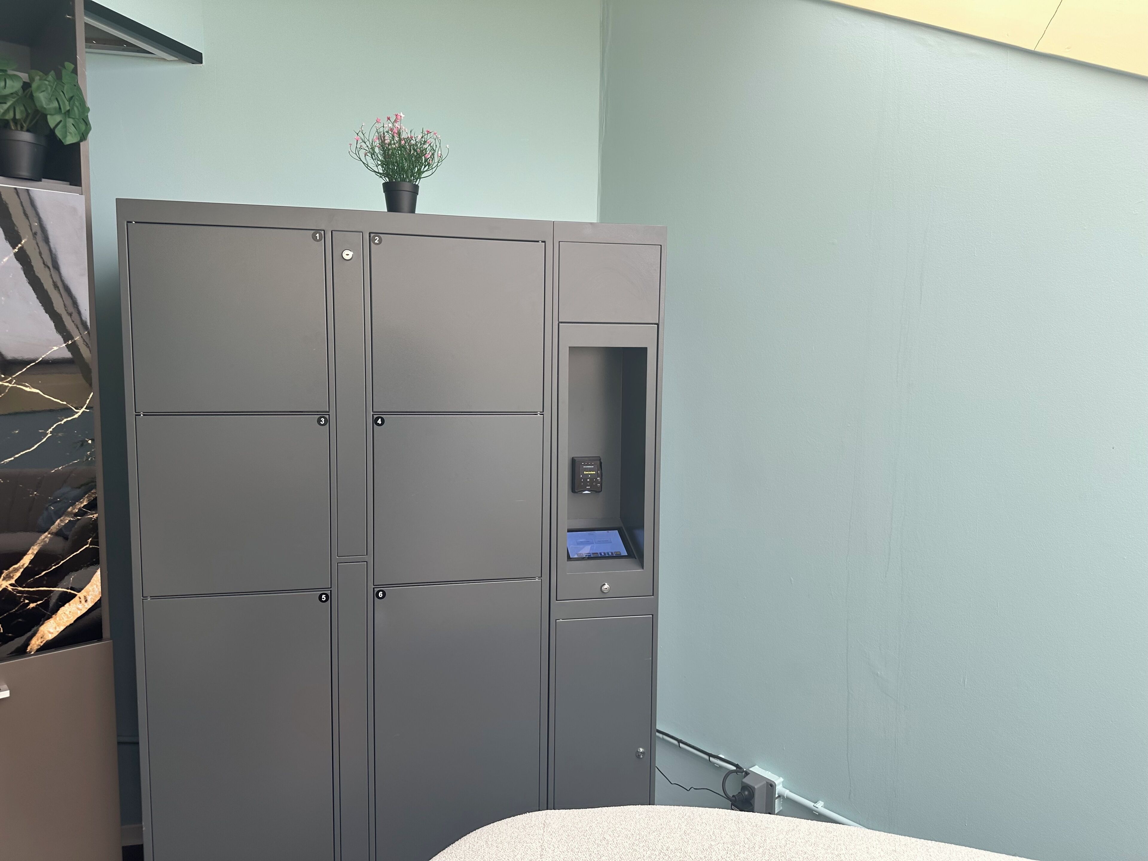 A grey wardrobe with a small plant on top, a door with a lock, and a control panel inside.