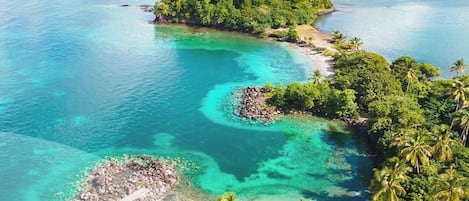 在海灘附近、躺椅