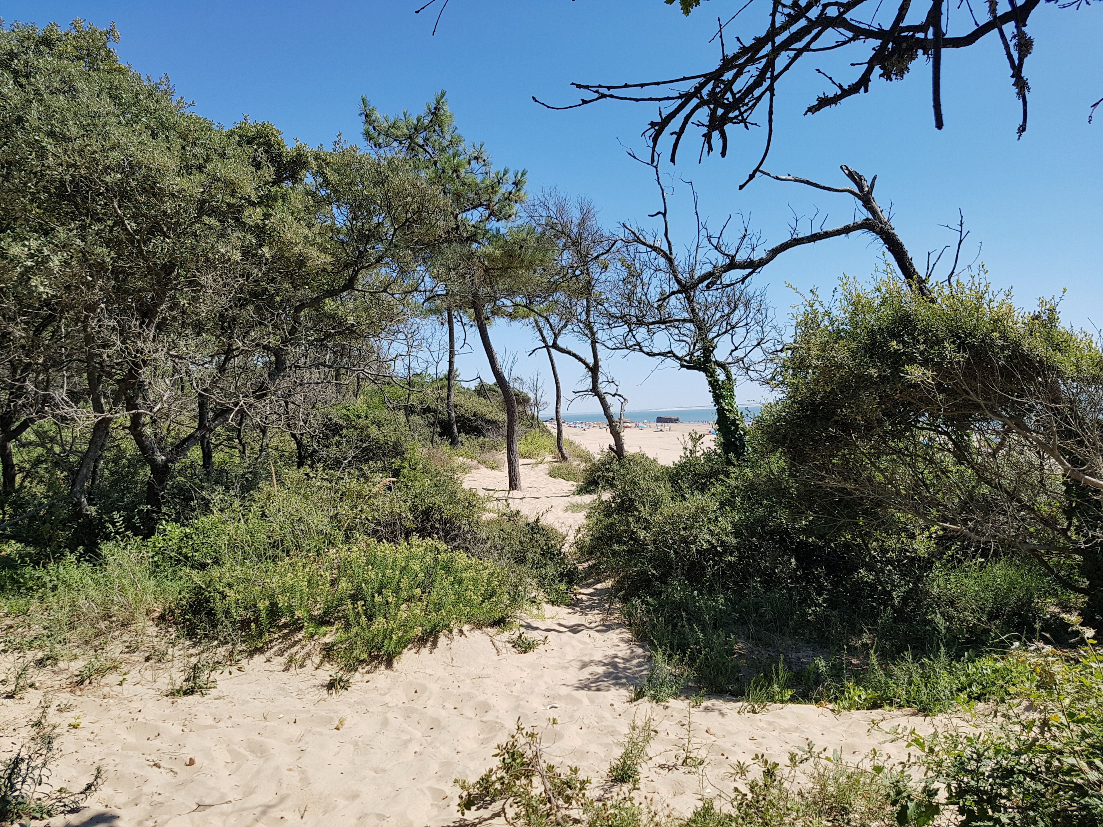 Beach