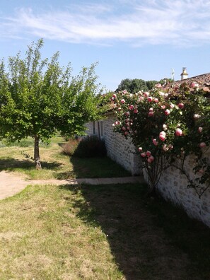 Un jardin avec un sentier, un arbre et un mur recouvert de rosiers grimpants.