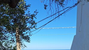 Blick durch eine Tür auf eine Küstenlandschaft mit blauem Himmel, einem Baum und einer Steinmauer.