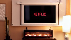 A living room with a fireplace, a flat-screen TV displaying 'NETFLIX,' a cactus, and a white vase on a table. - Cocon Heliot hypercentre Toulouse métro A&B Jean Jaurès - Pl. Wilson - Capitole (Toulouse)