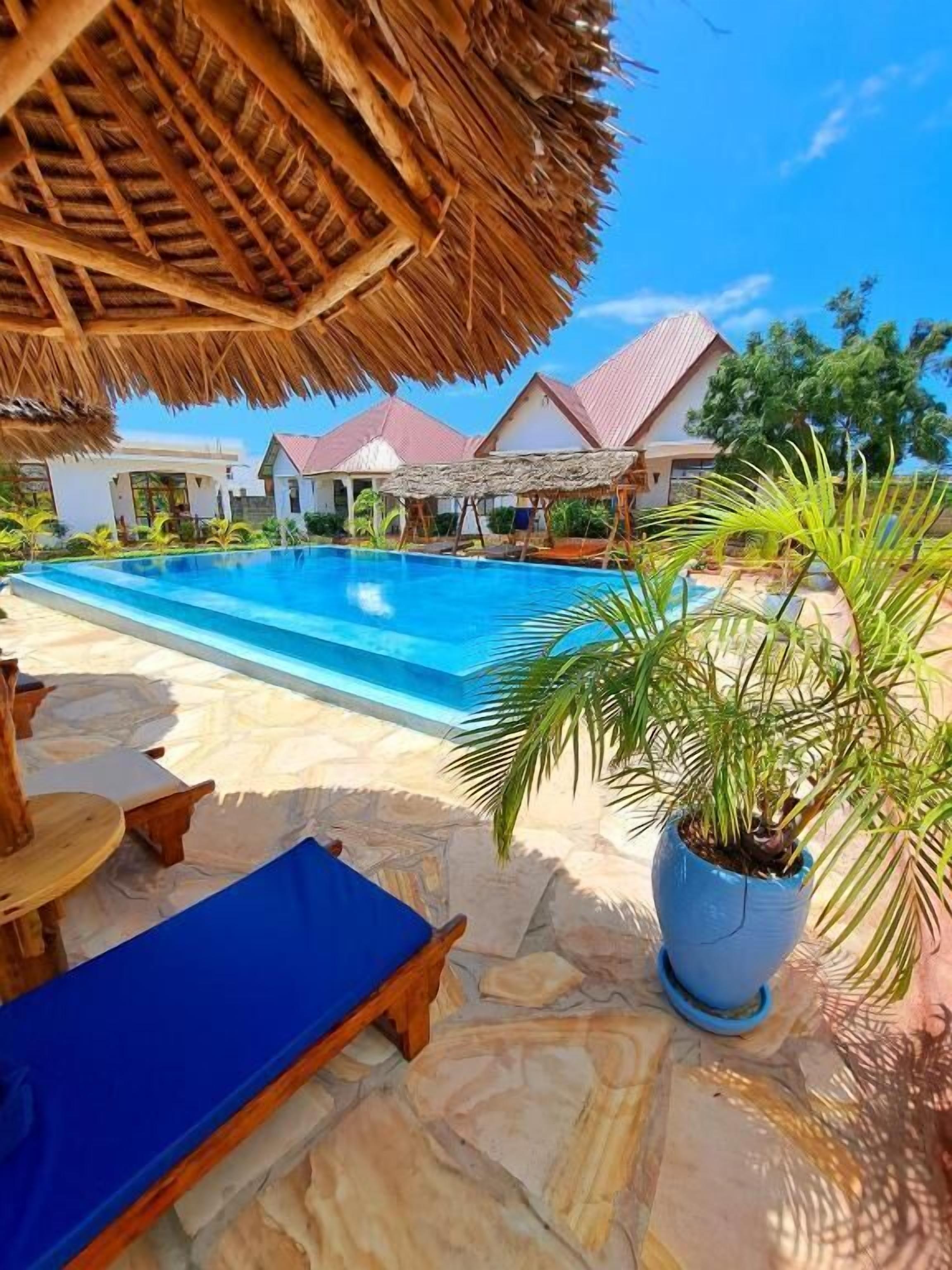 Piscine extérieure, parasols de plage, chaises longues