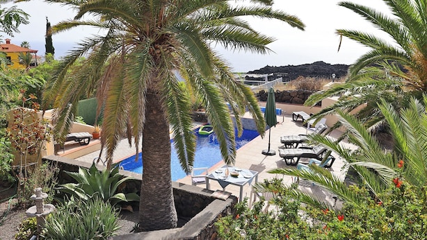 Ett poolområde med solstolar, en palm och utsikt över en byggnad i bakgrunden.