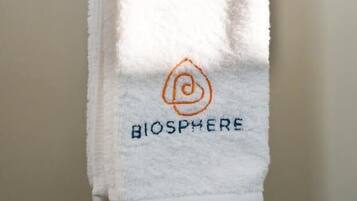 Shower, free toiletries, hair dryer, slippers