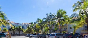 Un estacionamiento con varios coches, palmeras y edificios con balcones.