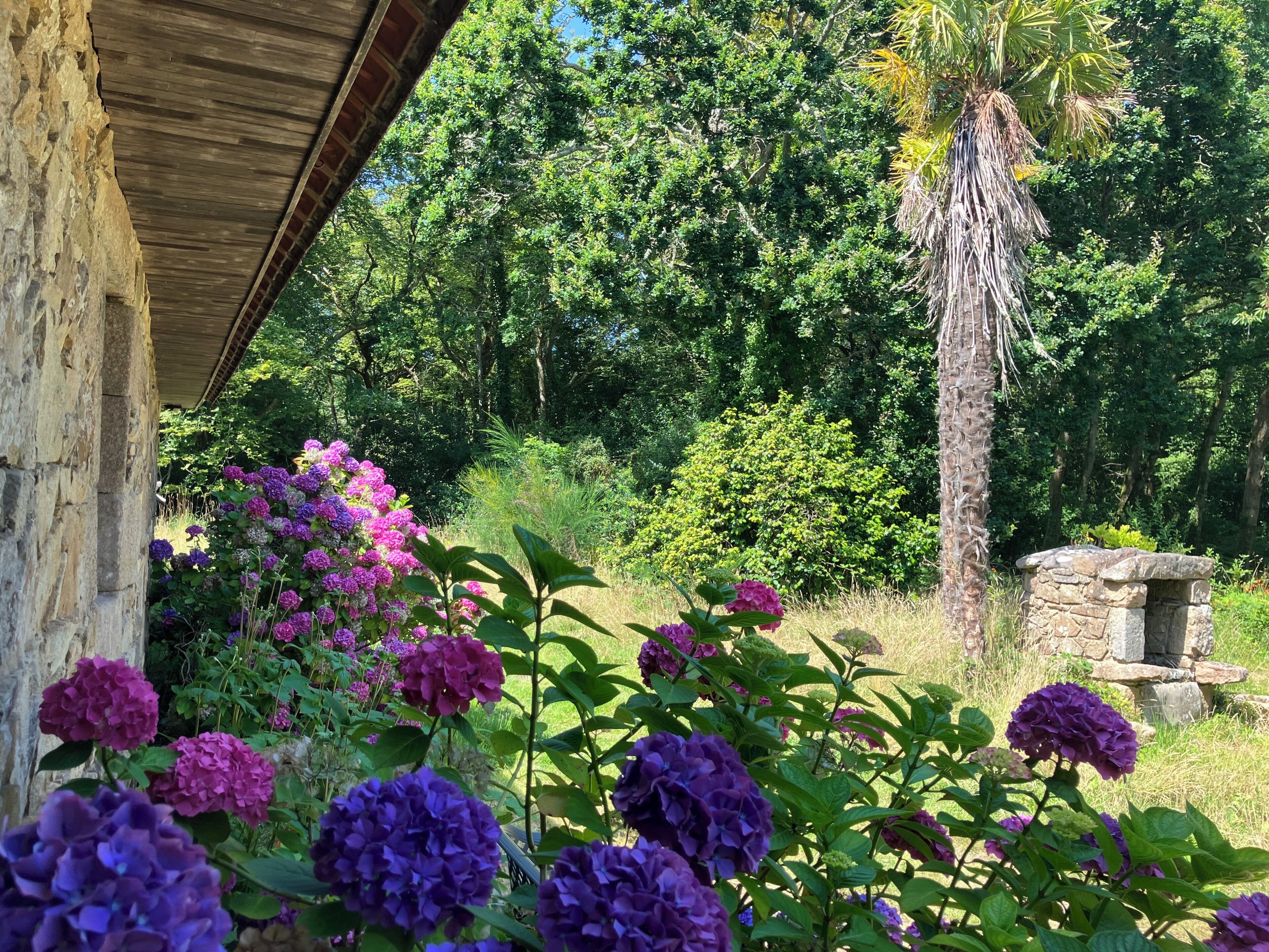 A rustic stone structure with a wooden roof, surrounded by lush greenery and vibrant hydrangea flowers.