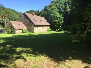 Eksteriør