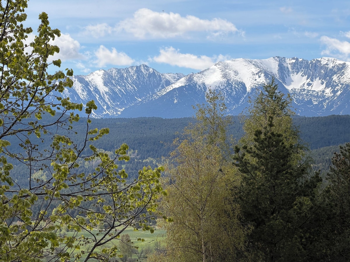 Image de profil de l’hôte