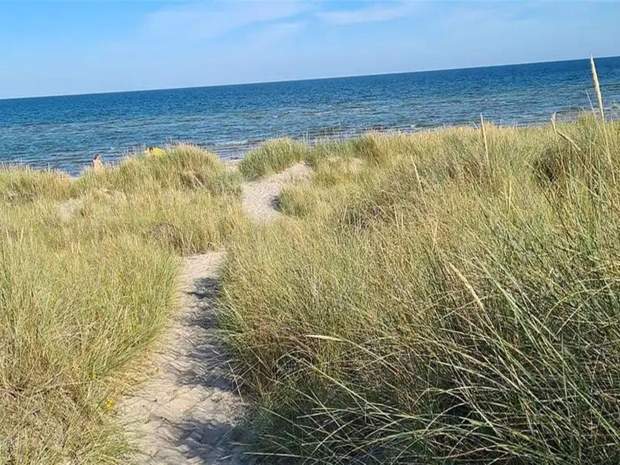 Playa