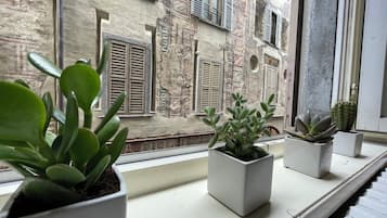 Departamento, 2 habitaciones | Interior