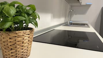 Apartment, 2 Bedrooms | Private kitchen | Full-size fridge, microwave, oven, stovetop