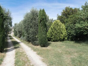 A gravel path flanked by dense greenery and trees. - Maison avec jardin 3 ch entre Alpilles et Luberon (Sénas)