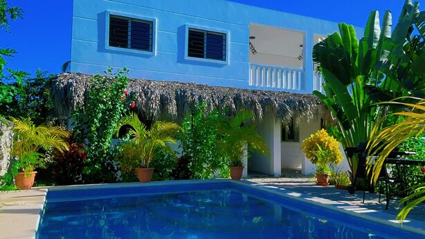 Une maison bleue moderne avec une piscine, entourée de plantes tropicales.