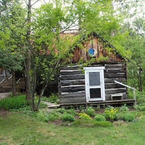 A rustic wooden cabin with a door, surrounded by lush greenery and a small garden.