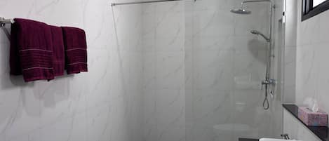 Hair dryer, towels, soap, toilet paper