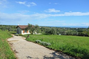 Une propriété rurale avec un chemin de gravier menant à une maison à toit de tuiles, entourée de champs verdoyants et d’arbres.