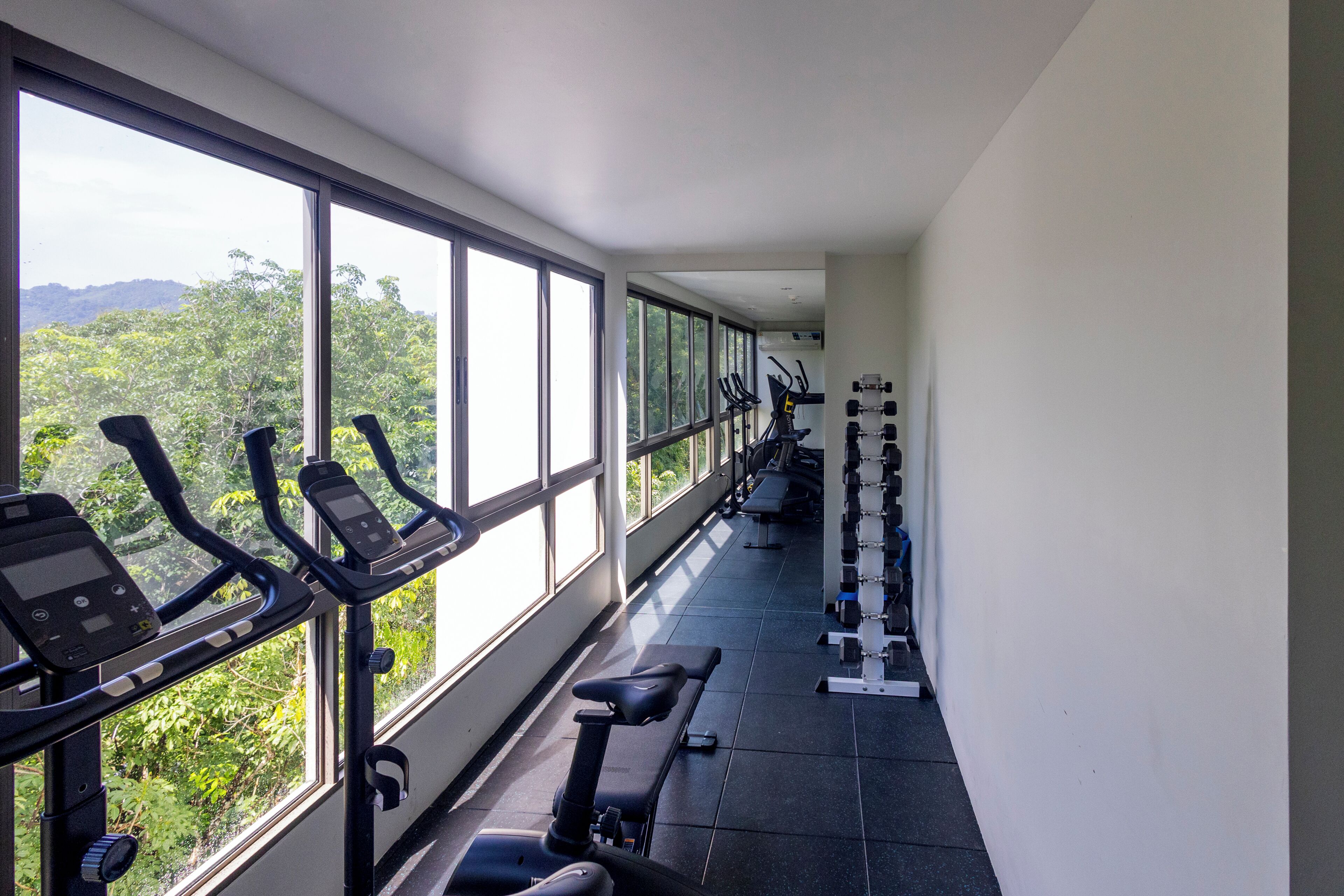 Een sportschool met trainingsapparatuur, grote ramen en uitzicht op groen.