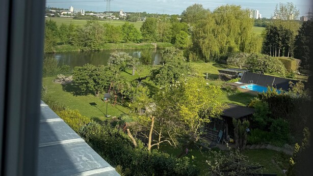 Een uitzicht op een woonwijk met een zwembad, bomen en een verre elektriciteitspaal.