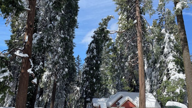 Uma cabana coberta de neve, com altas árvores de pinheiro, um edifício vermelho e uma área cercada.