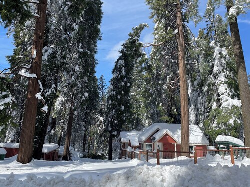 Cozy 1-bedroom cabin in soothing Pollock Pines with AC