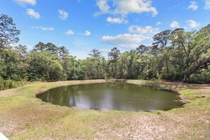 Miscellaneous - The Low Country Loft- Comfy 1BDRM Loft-4 Pass Golf Cart Included (Daufuskie Island)